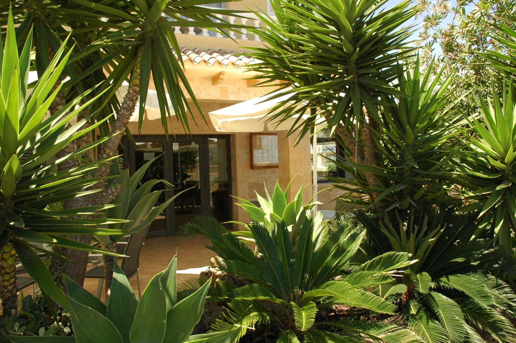 Hotel Noguera El Albir Eksteriør billede